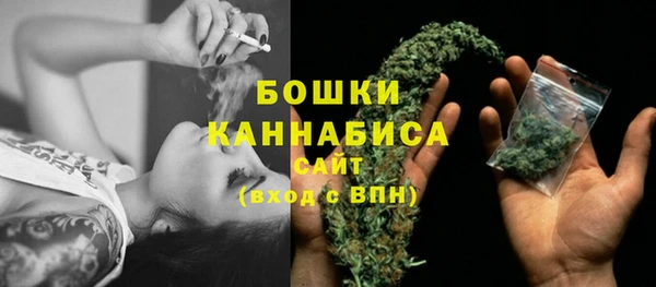 ГАЛЛЮЦИНОГЕННЫЕ ГРИБЫ Корсаков