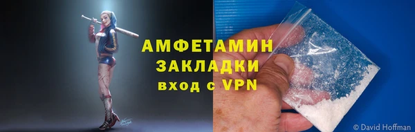 ГАЛЛЮЦИНОГЕННЫЕ ГРИБЫ Корсаков