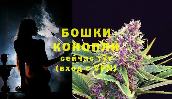 трава Костерёво