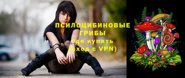 мет Коряжма