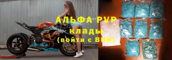 ГАЛЛЮЦИНОГЕННЫЕ ГРИБЫ Корсаков